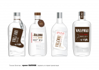 . Принимала участие в разработке проекта в рамках STUDIOIN