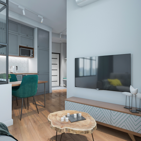 Проект квартиры-студии 28кв.м. г.Сочи