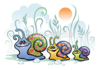 Улитки