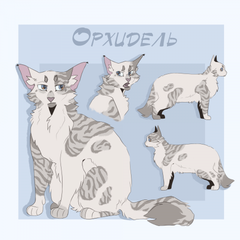 Заказ