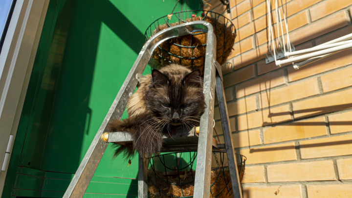 Работа 3851881