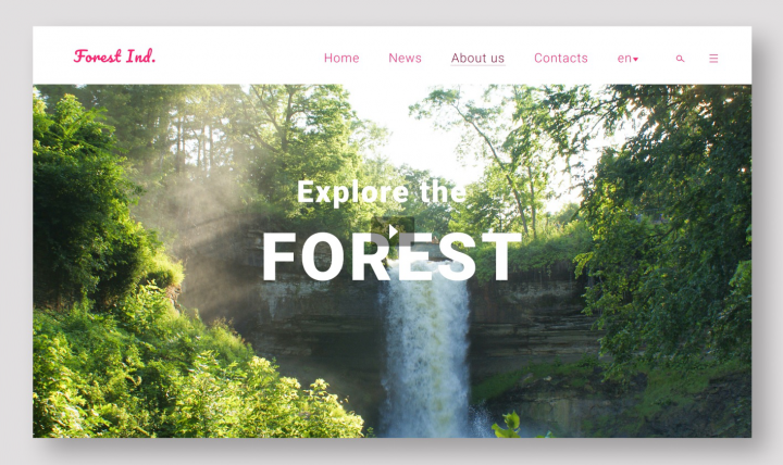The Forest