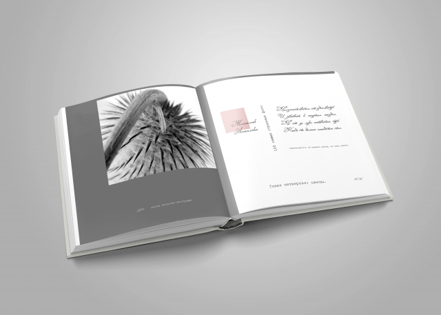 Альбом авторских фотографий "100 самых странных фото"