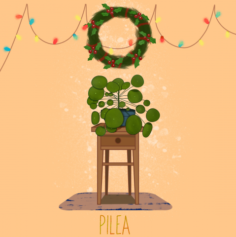 Открыта plants