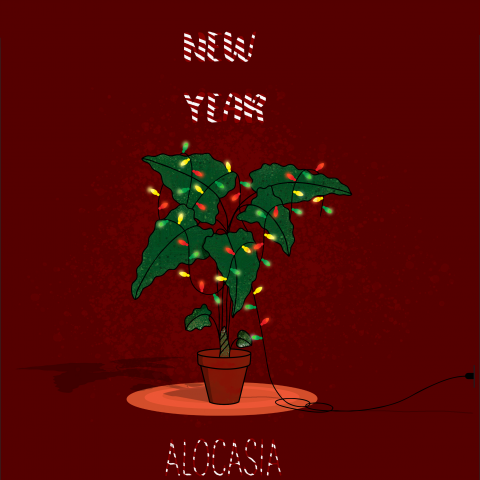 Открыта plants