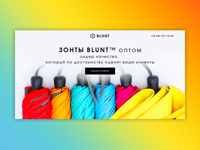 Зонты BLUNT (мультилендинг)