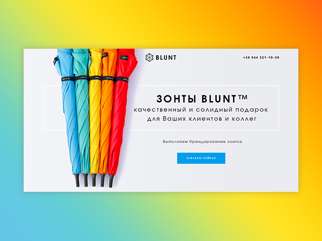 Зонты BLUNT (Мультилендинг)