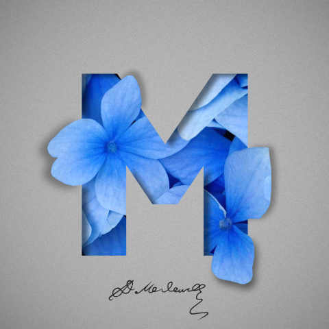 Работа 3862966