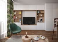 Студия с зеленым акцентом 5