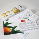 Лифлет для компании "Бизнес Столица"