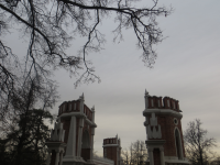 Ветви