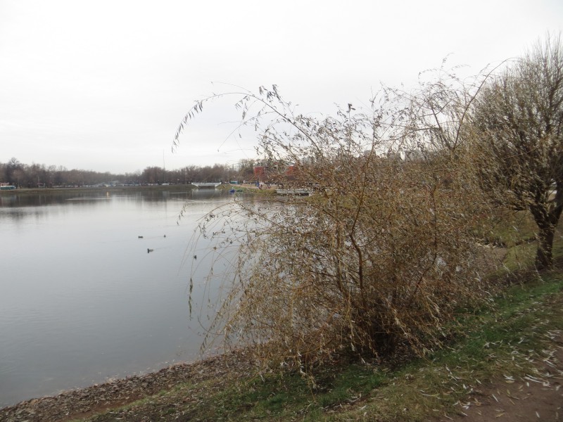 pic2746769.jpg
