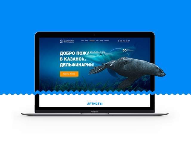 Дизайн казанского дельфинария