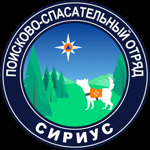 Ведение группы волонтёров, написание, размещение статей