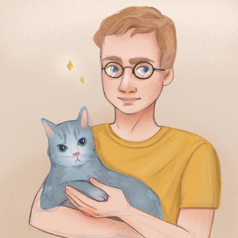 Котики