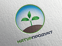 Работа 2211164
