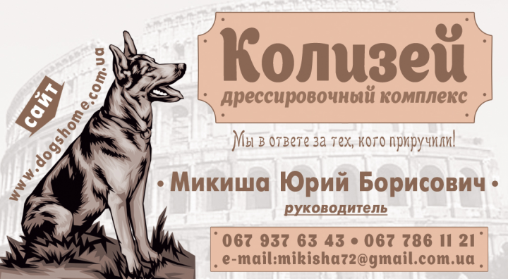 Визитка Колизей