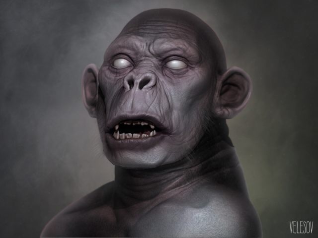 ape