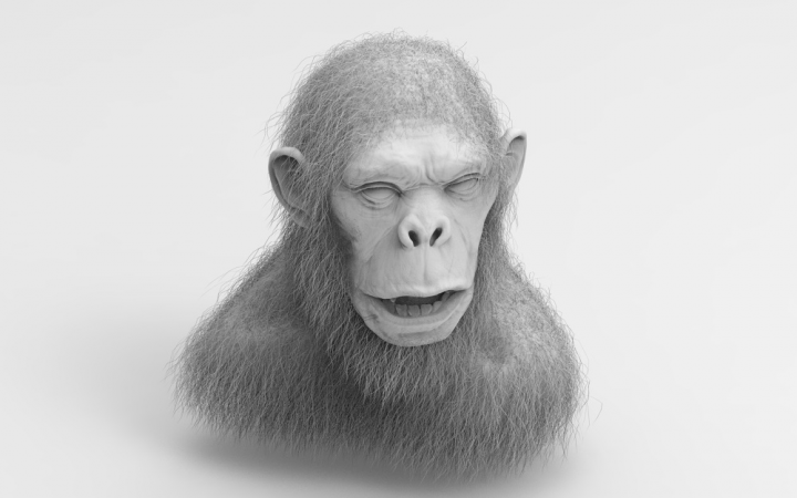 ape