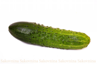 Огурец