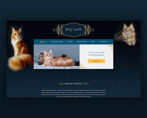 Сайт для Питомника Мейн-кунов Big Cats
