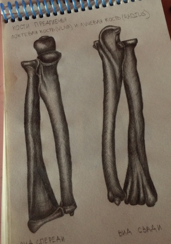 Работа 3833495