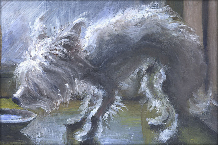 Недопсинаперекот.