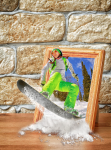 3D PhotoEffect