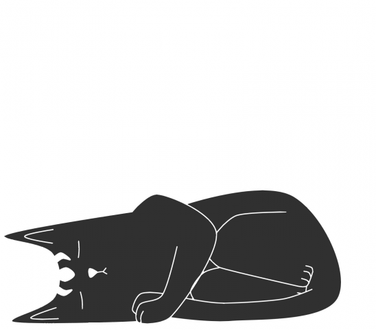 кот