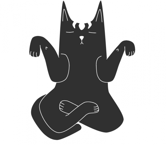 кот