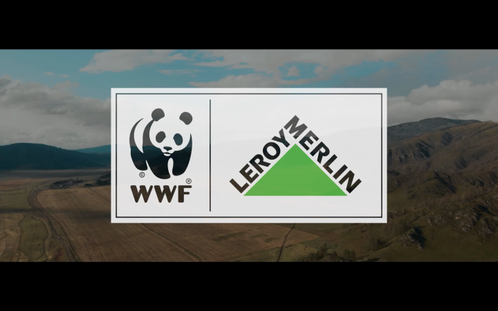 Leroy Merlin x WWF