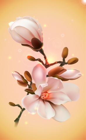 Векторизация фотографии/illustrator