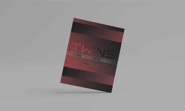 Фирменный стиль для TWINS