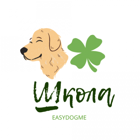 Логотип Онлайн школы