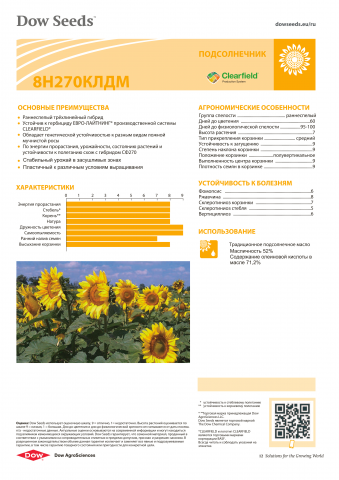 Страница каталога
