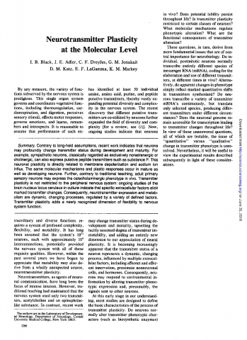 Neurotransmitter Plasticity at the Molecular Level
