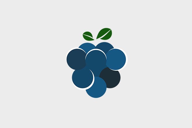 Логотип магазина blackberry.rf