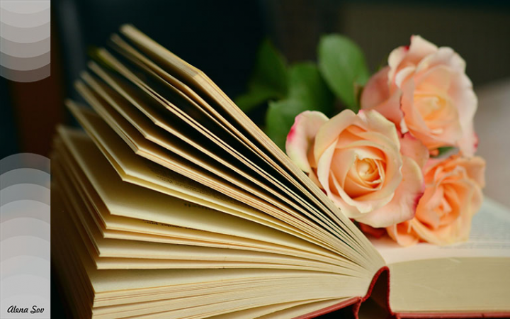 Как быстро найти и купить книгу, которая вам нужна