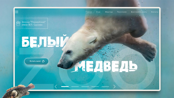 Дизайн для зоопарка