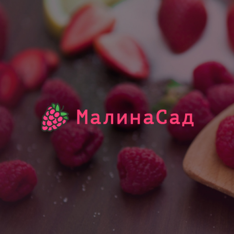 Интернет-магазин ''МалинаСад''
