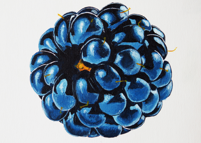 Juicy Blackberry