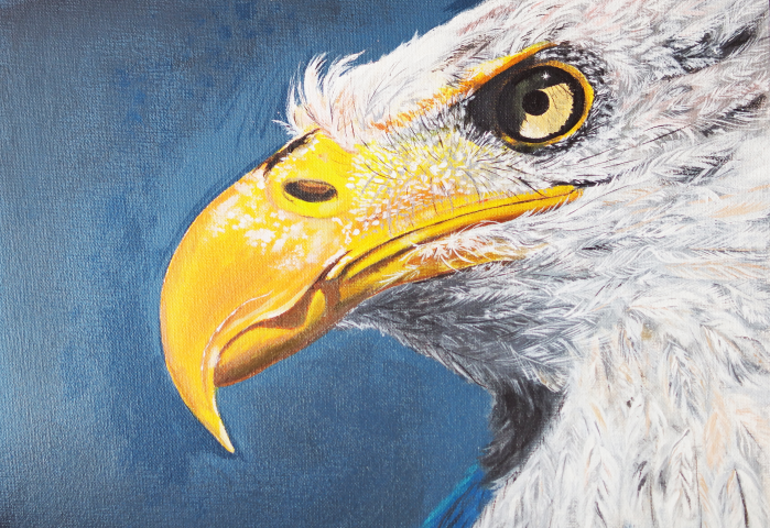 White eagle