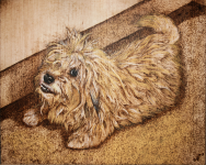 Работа 2882062