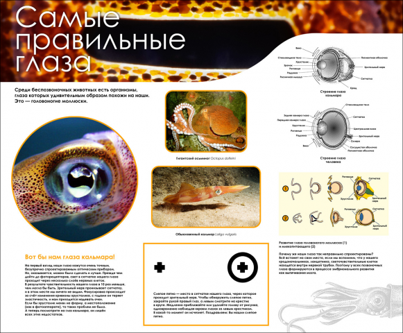 Работа 3870625