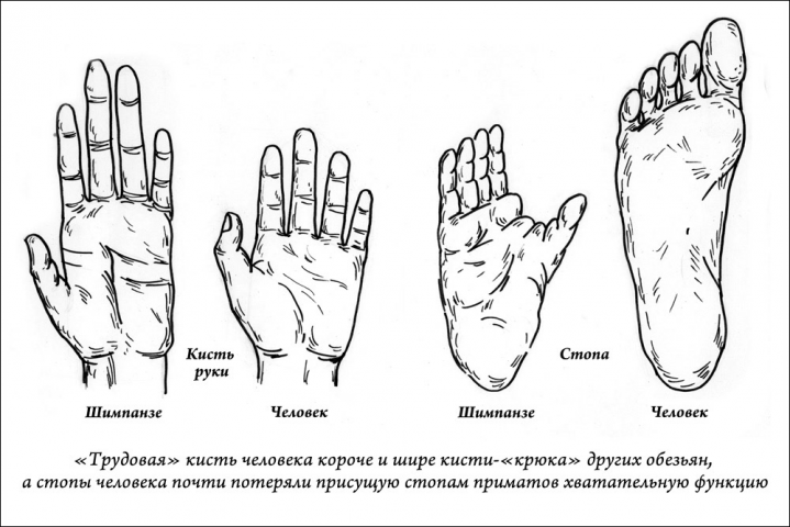 Работа 3870583