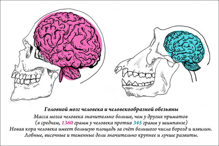 Работа 3870582