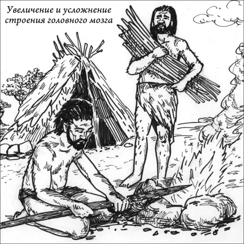 Работа 3870578
