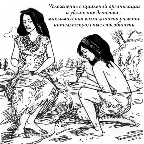 Работа 3870575
