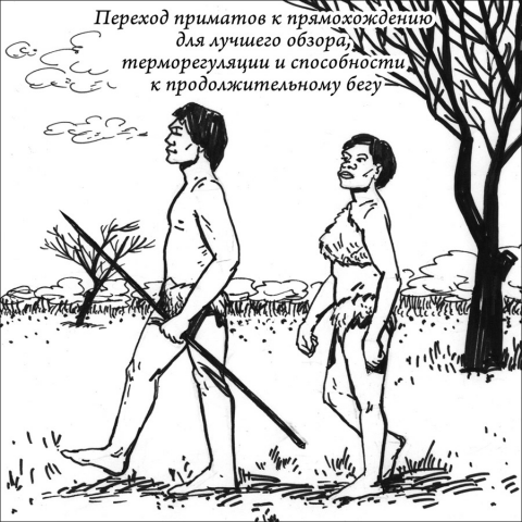 Работа 3870574