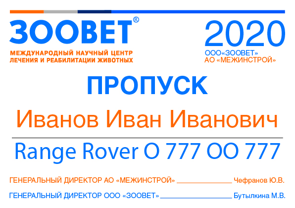 Пропуск